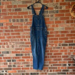 Blue Denim Overalls J.Crew.